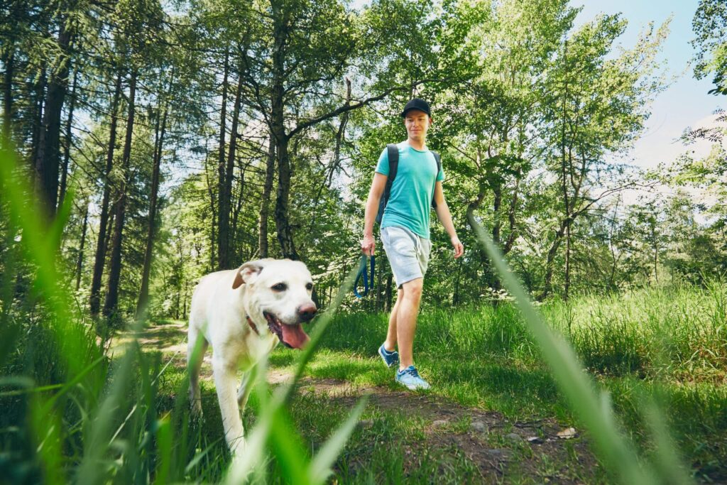 The Best Dog-Friendly Trails in Colorado Springs