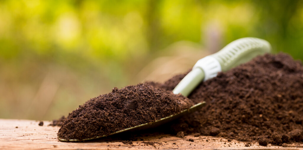 organic soil for planting