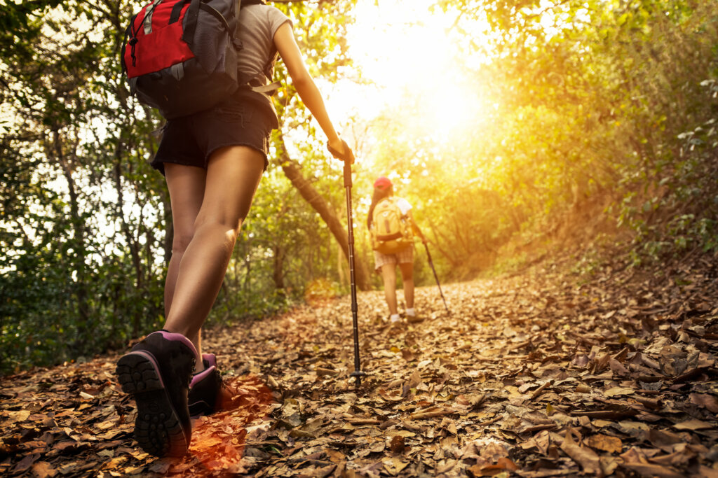 Lady hikers walking in the mountains.