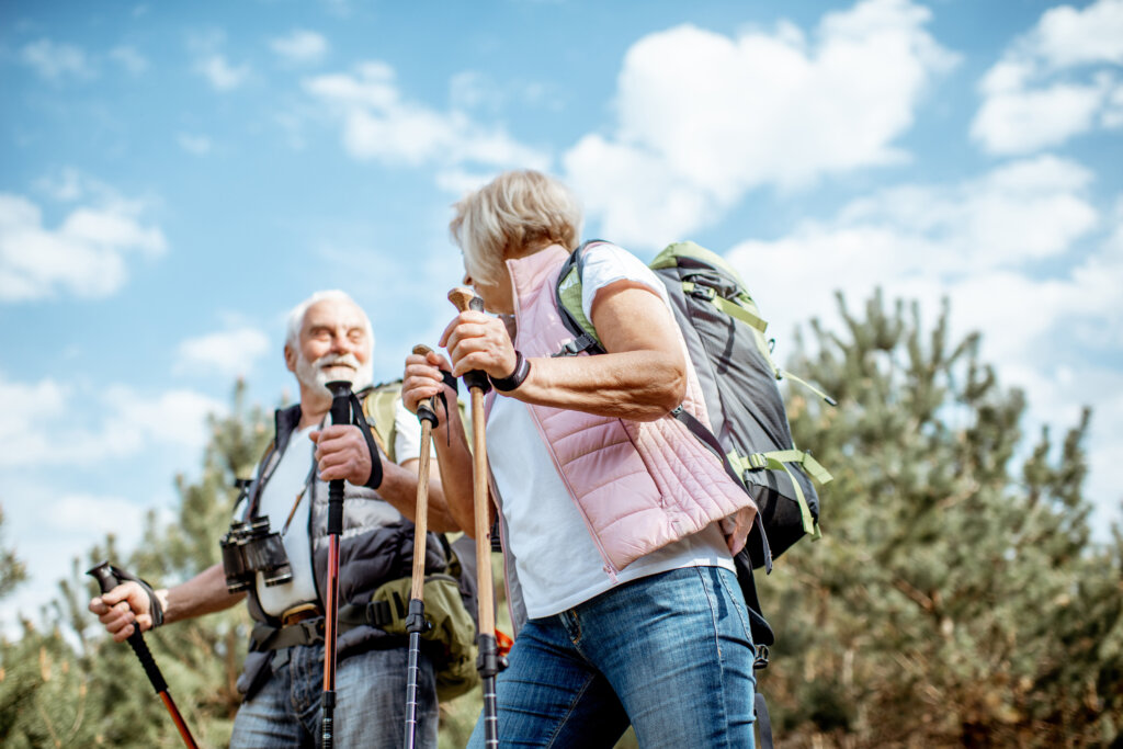 Happy senior couple hiking with trekking sticks and backpacks at the young pine forest. Enjoying nature