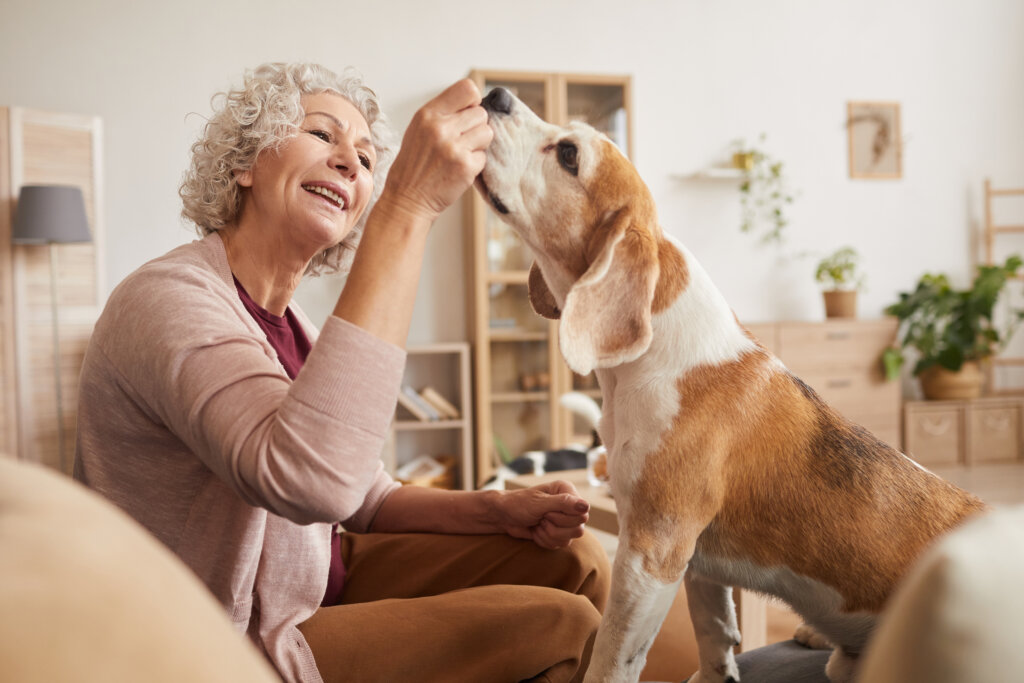 Cheerful senior woman playing with dog and giving treats while enjoying time together at home