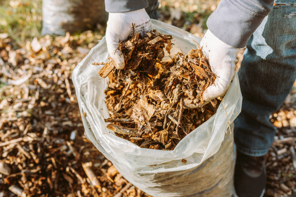 Garden work mulching plants