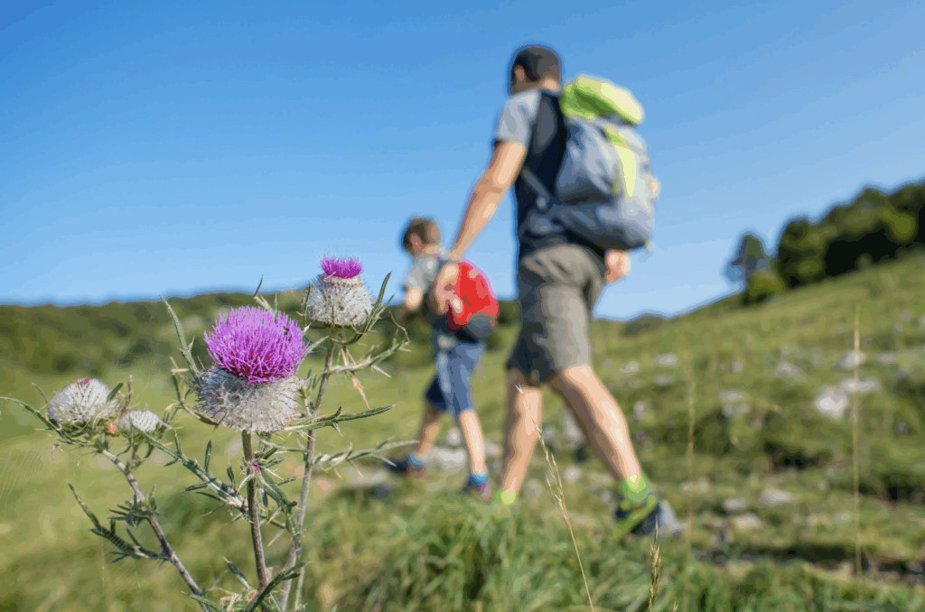 family hiking in the mountains