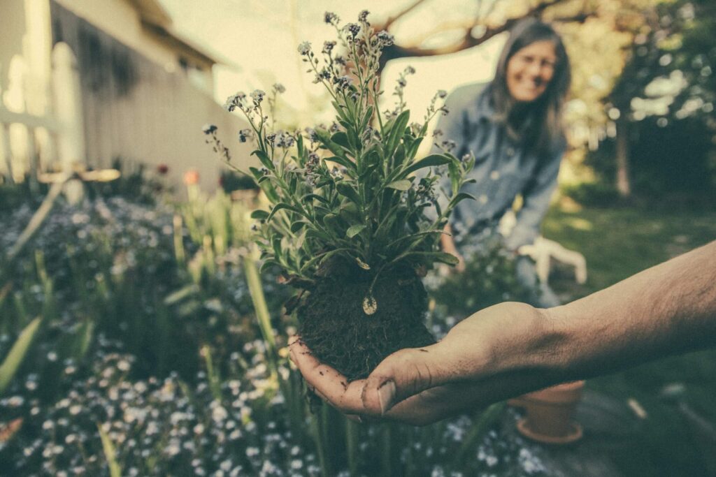 Essential Spring Gardening Tips