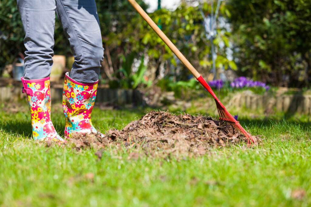 Colorado Springs fall cleaning checklist