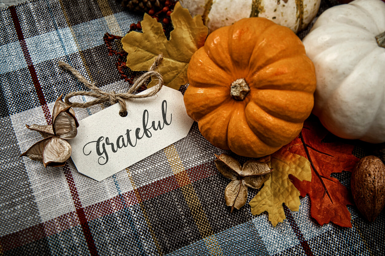 Autumn White Small pumpkins on plaid background with Baby breath flowers