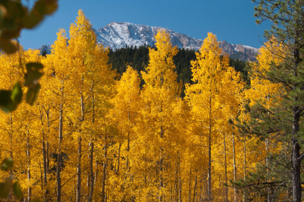 5 Things to Do in Northern Colorado