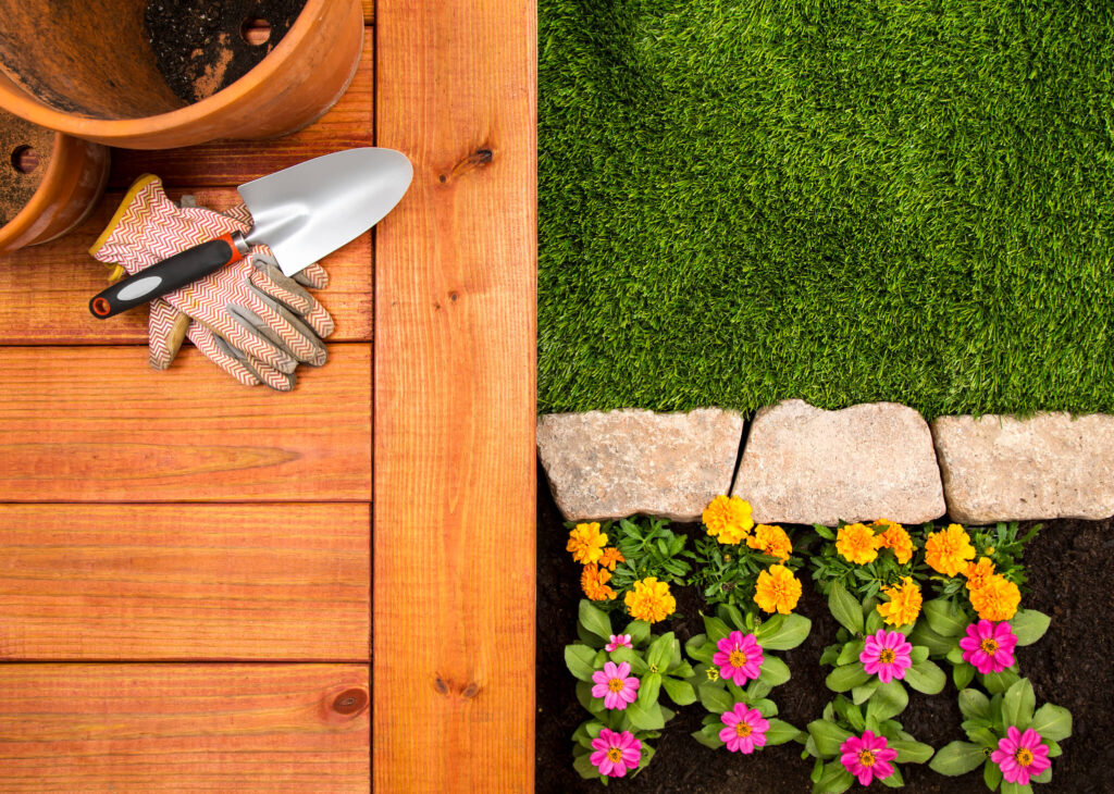 3 tips on how to care for plants in Summer