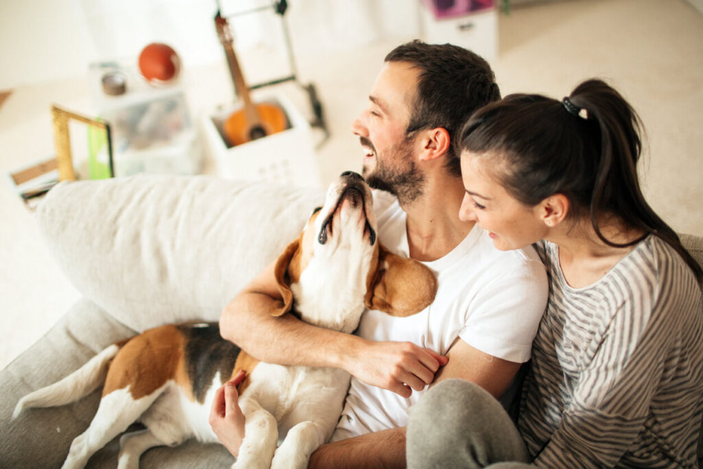 Quick Move-In Homes in Colorado Springs
