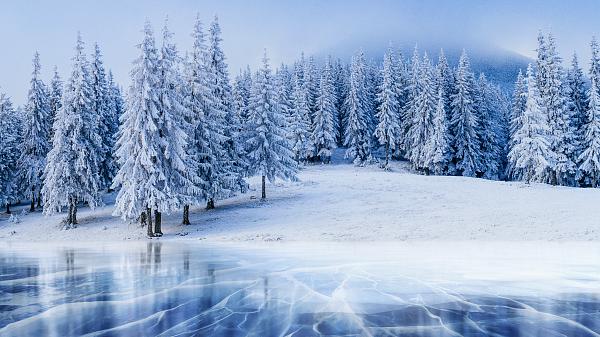How to Beat the Winter Blues: A Guide to Staying Happy and Healthy in the Colder Months